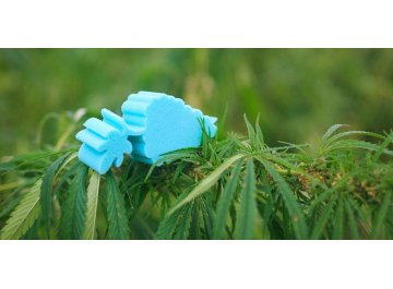 Матрас Amnesia L