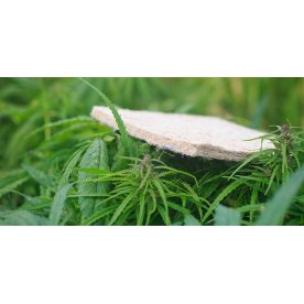 Матрас Indica L