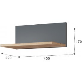 Полка Эмилия ЭЛ-9