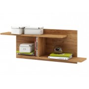 дуб золотистый