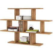 дуб золотистый