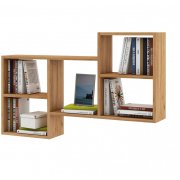 дуб золотистый