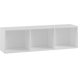 Полка Вилли