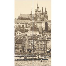 Шкаф-купе Леон-2 Прага 1200