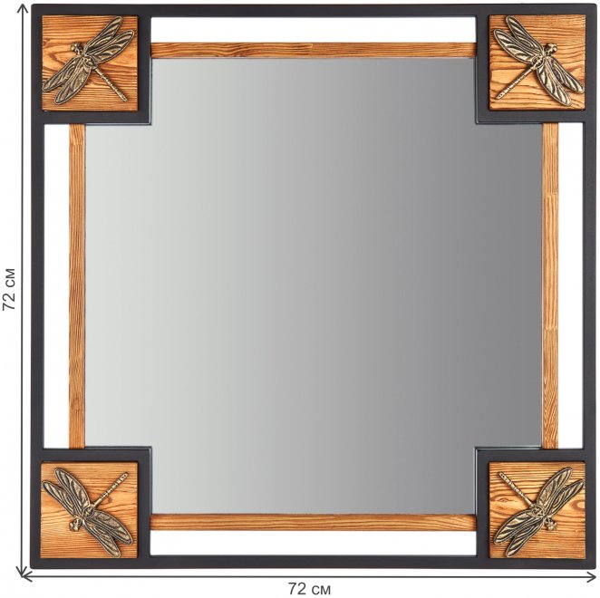 Зеркало Стрекозы V20042