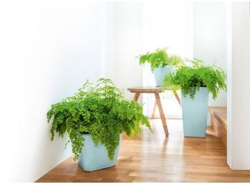 Кашпо Lechuza 16027 CLASSICO LS 21