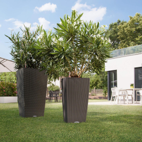 Кашпо Кубико Коттедж 30 15158