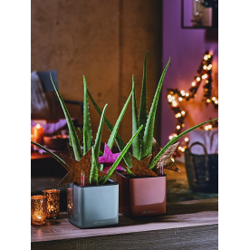 Кашпо Кьюб Глосси 14 13516