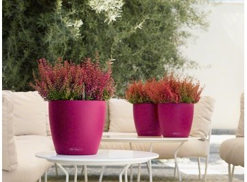 Кашпо Lechuza 13170 CLASSICO Color 21