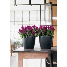 Кашпо Lechuza 13183 CLASSICO Color 21