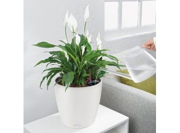 Кашпо Lechuza 13184 CLASSICO Color 21