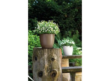 Кашпо Lechuza 13190 CLASSICO Color 28