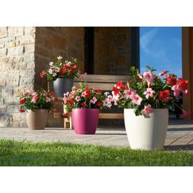 Кашпо Lechuza 13203 CLASSICO Color 28
