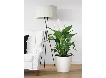 Кашпо Lechuza 13210 CLASSICO Color 35