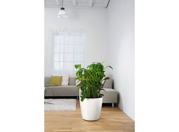 Кашпо Lechuza 13243 CLASSICO Color 43