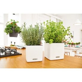 Кашпо Lechuza 13380 CUBE Color 14