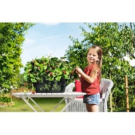 Кашпо Lechuza 14984 CASCADA Color