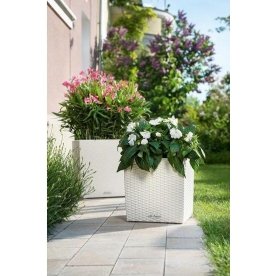 Кашпо Lechuza 15380 CUBE Cottage 40