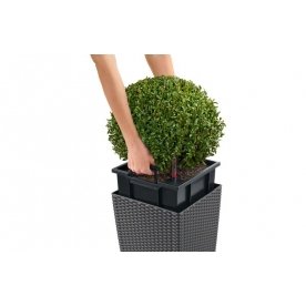 Кашпо Lechuza 15382 CUBE Cottage 40