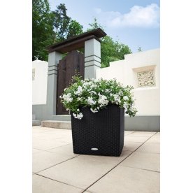 Кашпо Lechuza 15392 CUBE Cottage 50