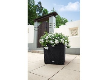 Кашпо Lechuza 15392 CUBE Cottage 50