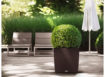 Кашпо Lechuza 15395 CUBE Cottage 50