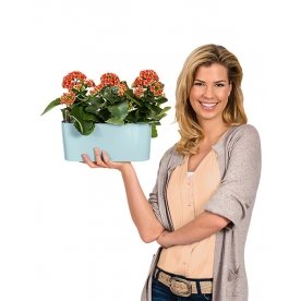 Кашпо Lechuza 15465 DELTA 10