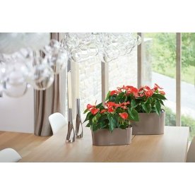 Кашпо Lechuza 15465 DELTA 10