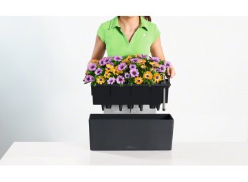 Кашпо Lechuza 15673 BALCONERA Color 50