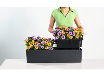 Кашпо Lechuza 15683 BALCONERA Color 80