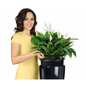 Кашпо Lechuza 15784 RONDO 32