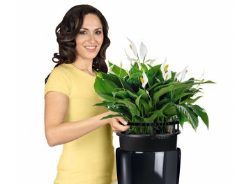 Кашпо Lechuza 15784 RONDO 32