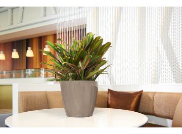 Кашпо Lechuza 16085 CLASSICO LS 43