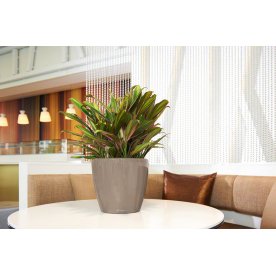 Кашпо Lechuza 16101 CLASSICO LS 50