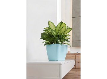 Кашпо Lechuza 16120 QUADRO LS 21