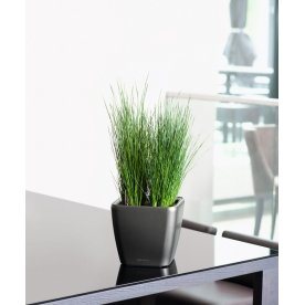 Кашпо Lechuza 16143 QUADRO LS 28