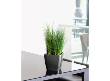 Кашпо Lechuza 16285 QUADRO LS 50