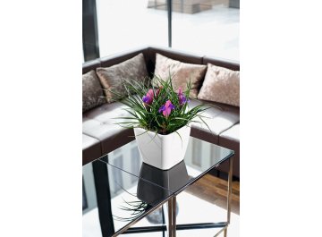 Кашпо Lechuza 16289 QUADRO LS 50