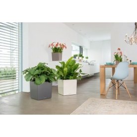 Кашпо Lechuza 16363 CUBE 40