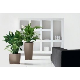 Кашпо Lechuza 16363 CUBE 40