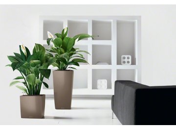 Кашпо Lechuza 16369 CUBE 40