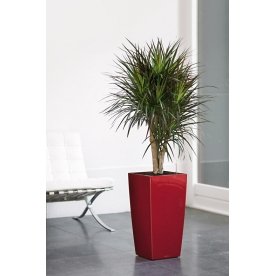 Кашпо Lechuza 18183 CUBICO 30