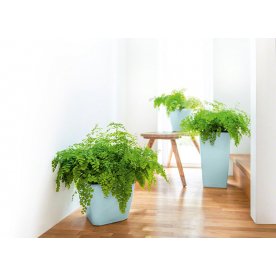 Кашпо Lechuza 18468 CUBICO 22