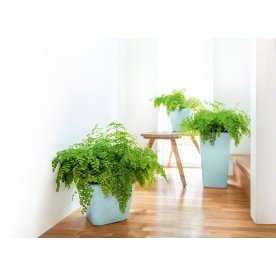 Кашпо Lechuza 18479 CUBICO 22