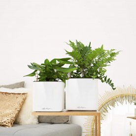 Кашпо Кьюб Глосси 16