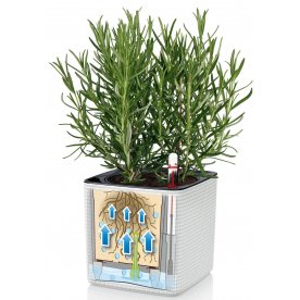 Кашпо Кьюб Колор 16