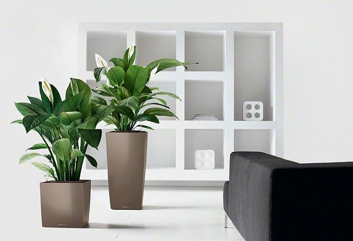 Кашпо Lechuza 16465 CUBE 30 серо-коричневый