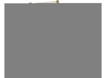 Деревянный стул Vilara