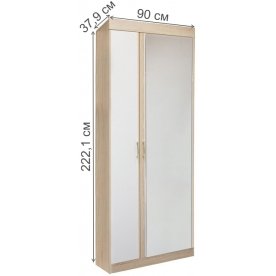 Шкаф двухдверный Ника Н1