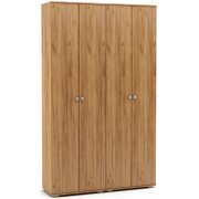 дуб золотистый